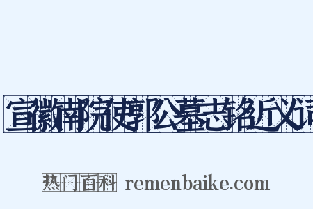 宣徽南院使郭公墓志铭近义词是什么意思的图片